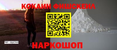 дживик Можга