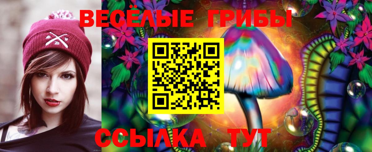 Чита  Галлюциногенные грибы MAGIC MUSHROOMS  Псилоцибиновые грибы мухоморы  Вход с VPN 