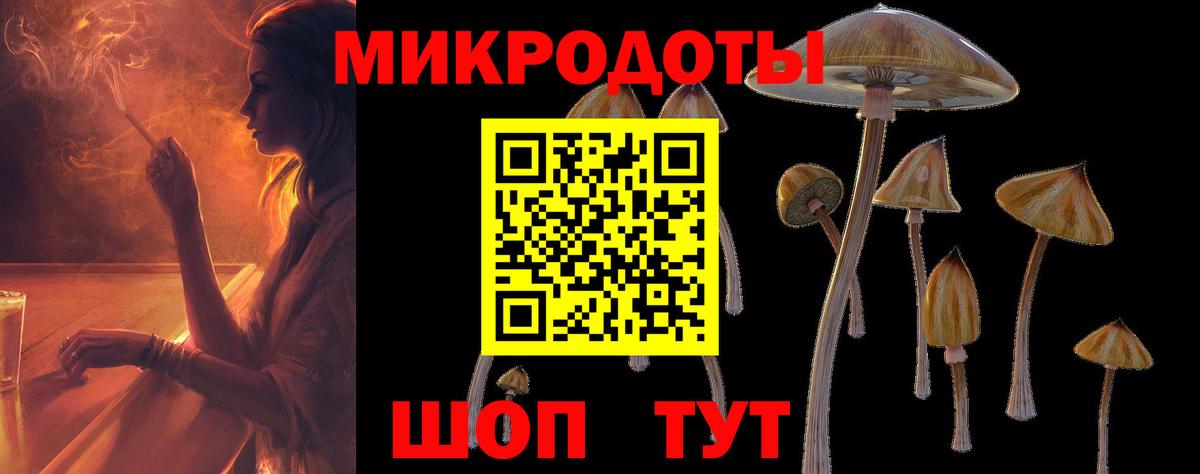Псилоцибиновые грибы GOLDEN TEACHER Чита